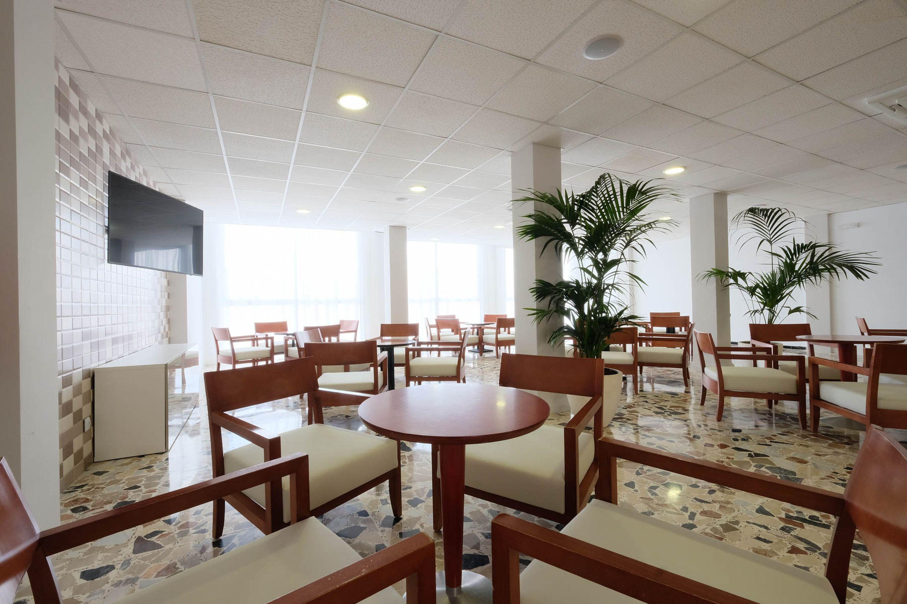 azuLine Hotel Palmanova Garden Buitenkant foto