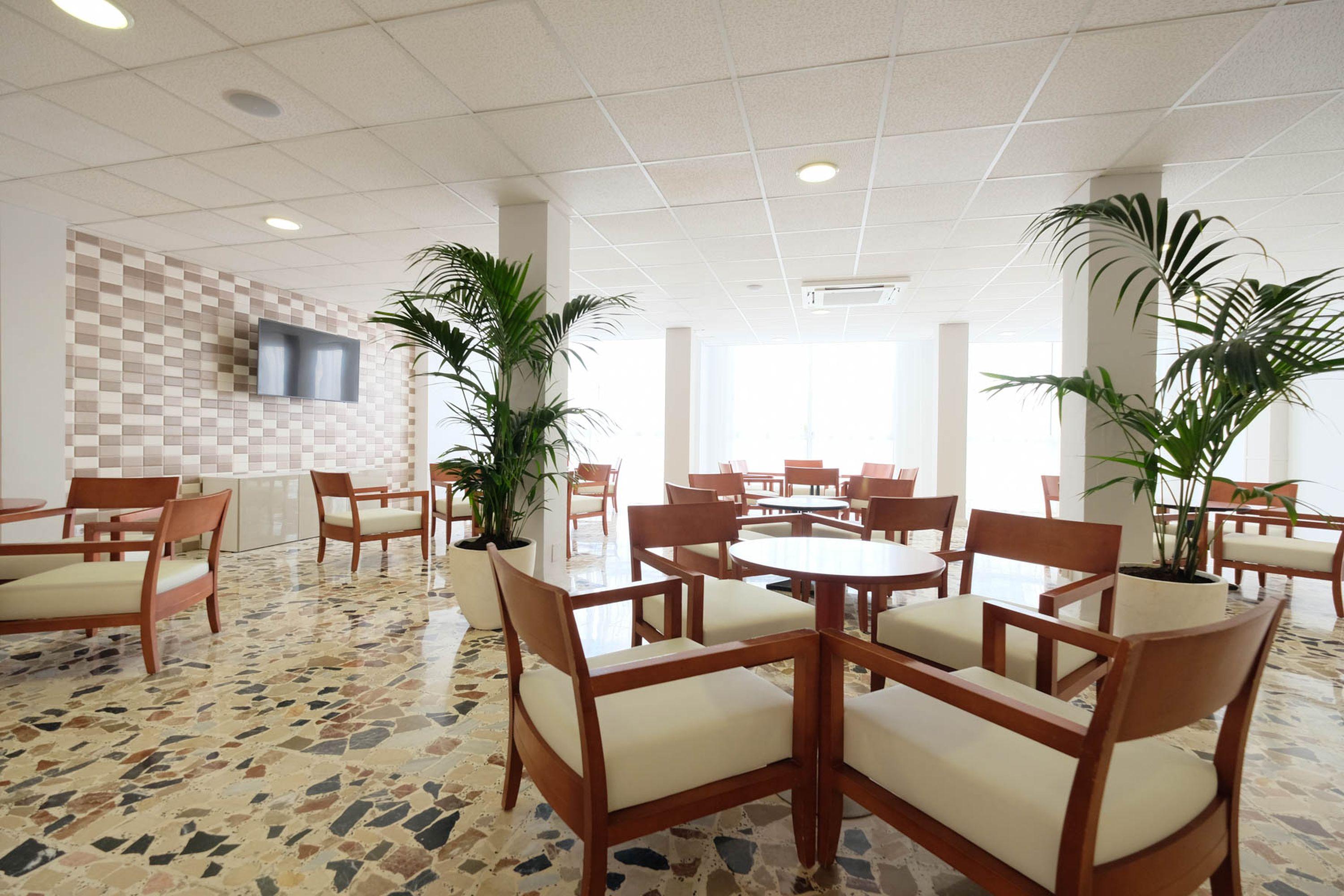 azuLine Hotel Palmanova Garden Buitenkant foto